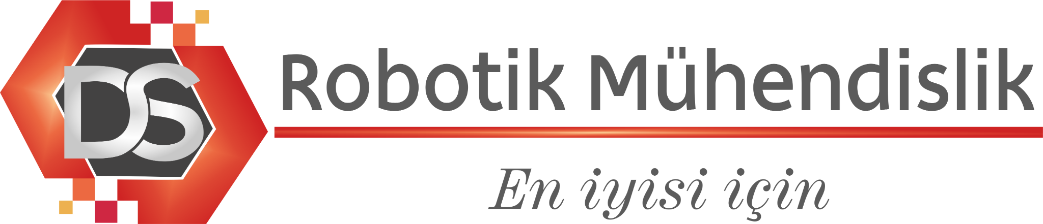 DS Robotik Mühendislik