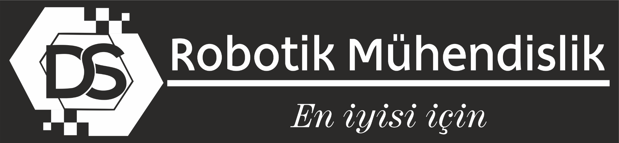 DS Robotik Mühendislik
